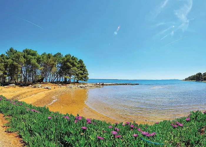 Apartman 1 Bedroom Lovely In
